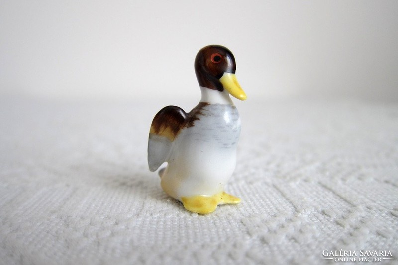 Miniatűr porcelán kacsa nipp