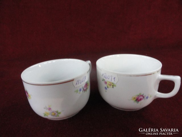 Triptis - veb Polish porcelain tea cup. Snow-white background with colorful flowers. He has!