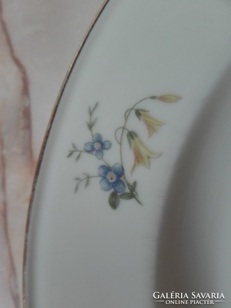 Antique decorative bowl, flat plate, 24.5 cm in diameter
