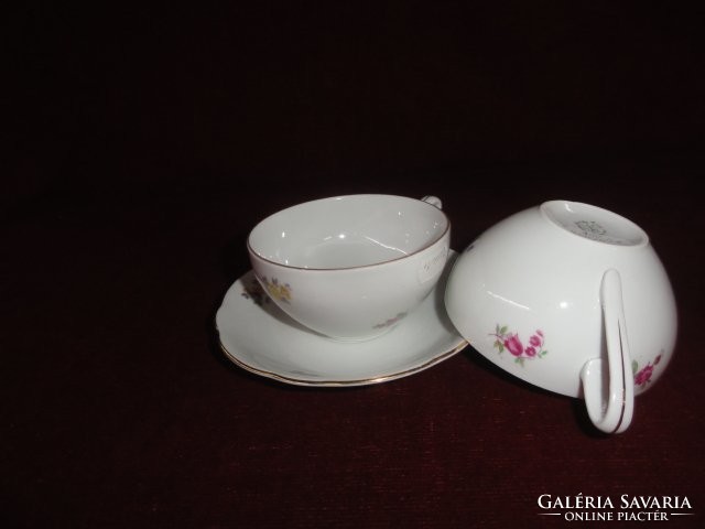 Mz Czechoslovak porcelain antique teacup + saucer. He has!