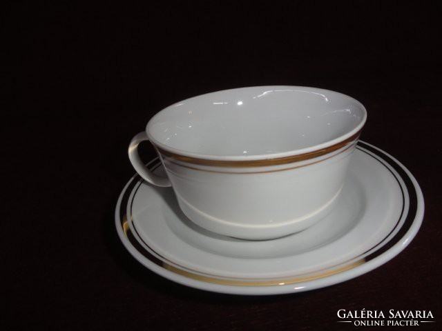 Alföldi porcelain tea cup + saucer. On a white background with a double gold stripe. He has!