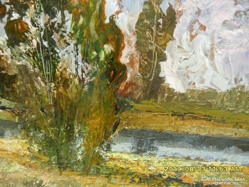 Szanthoffer Imre: mocsaras táj,rét olaj festmény képcsarnokos
