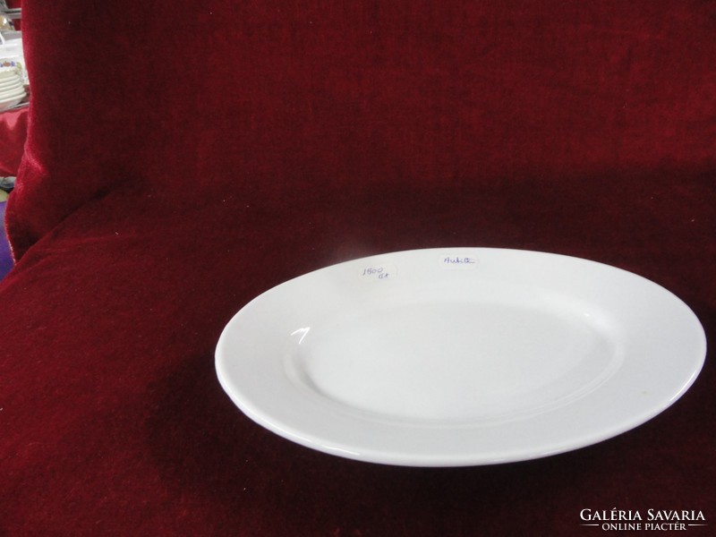 Carlsbad Czechoslovakian porcelain antique meat dish. Size: 25 x 17 cm. He has!