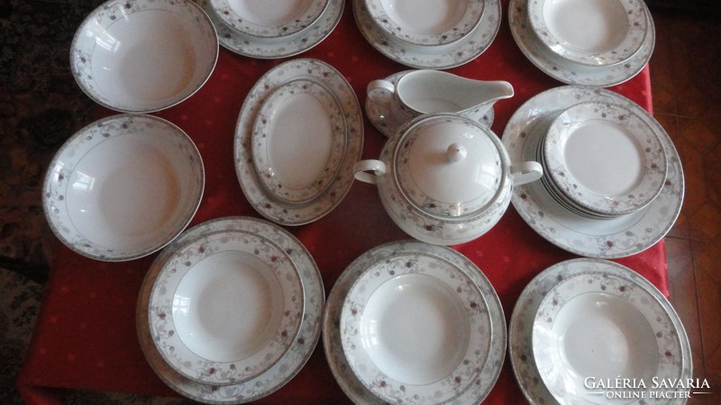 Accent fine porcelain tableware 26 pieces. Platinum with gray stylized flowers. He has!