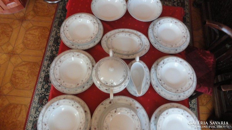 Accent fine porcelain tableware 26 pieces. Platinum with gray stylized flowers. He has!