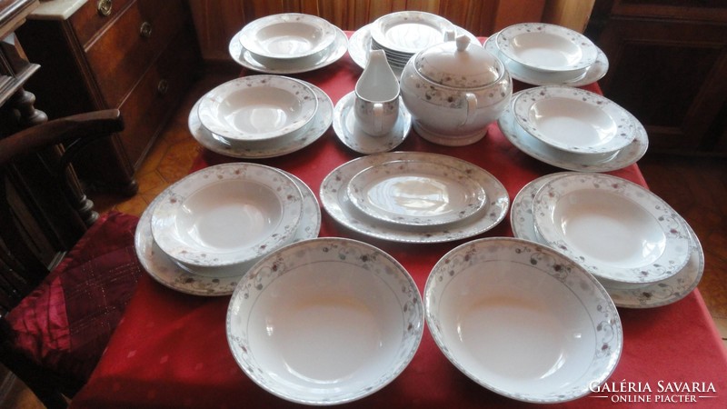 Accent fine porcelain tableware 26 pieces. Platinum with gray stylized flowers. He has!