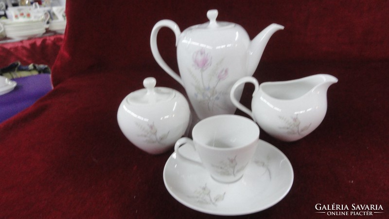 R & s wien austrian 15 coffee set. Bouquet of roses on a snow-white background. He has!