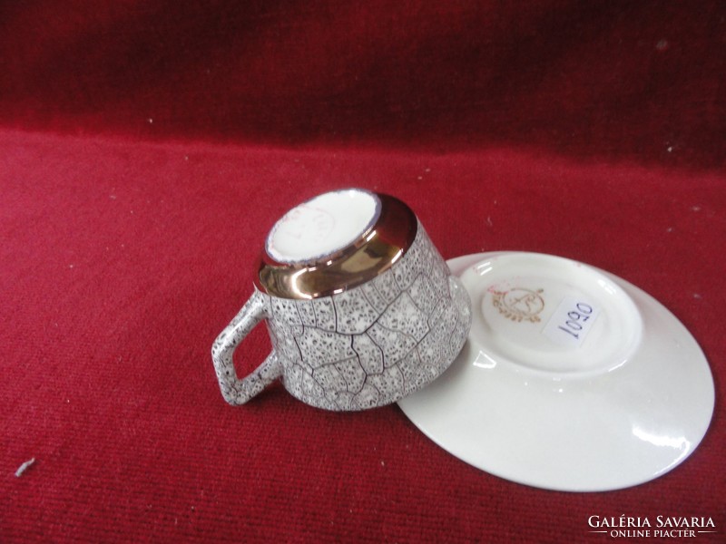 FS STAS 2337-60 sz. porcelán csésze + alátét. Belseje aranyozott, kő minta a külseje. Vanneki!