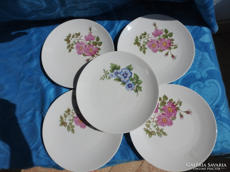 Kahla wild rose pattern plate set