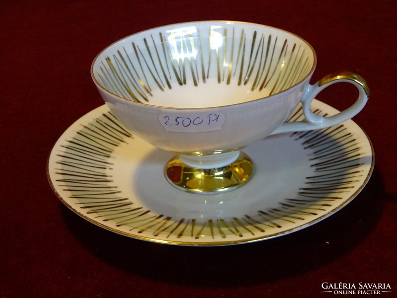 Wunsiedel r Bavarian German porcelain teacup + saucer. Hand painted. He has!