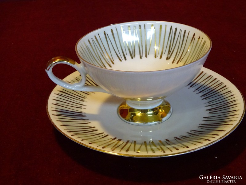 Wunsiedel r Bavarian German porcelain teacup + saucer. Hand painted. He has!