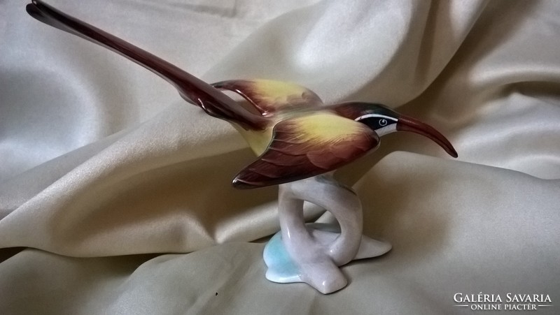 Rare aquincum kingfisher