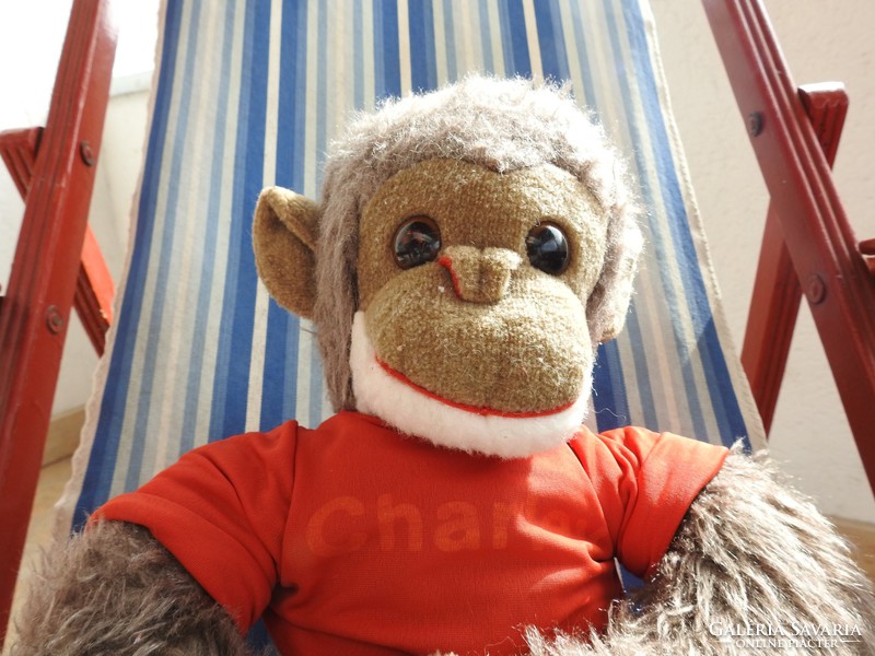 Big Old Ape : Charlie the Chimpanzee
