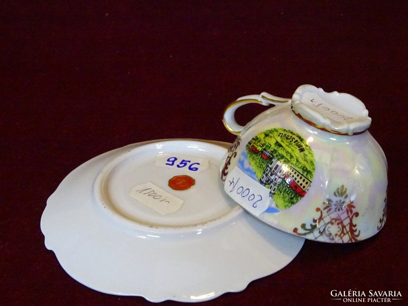 Gvd Austrian porcelain commemorative coffee cup + coaster. Maria schutz with view. He has!