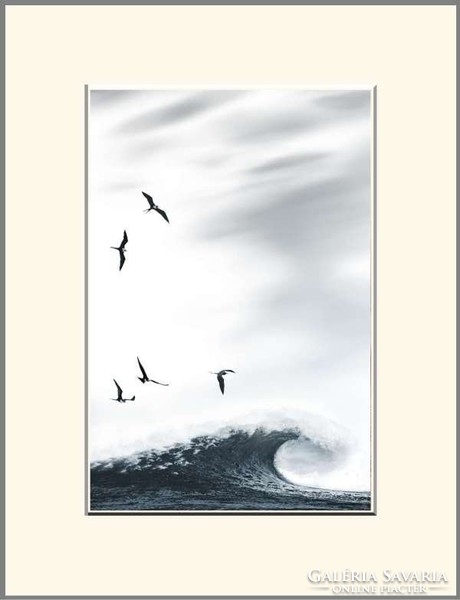 Moira risen: sailing seven seas - sailing on waves. Contemporary, signed fine art print, bird
