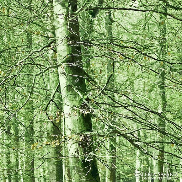 Moira Risen: A fa ékszeres doboz - Smaragd. Kortárs, szignált fine art nyomat, zöld erdő bükkfa