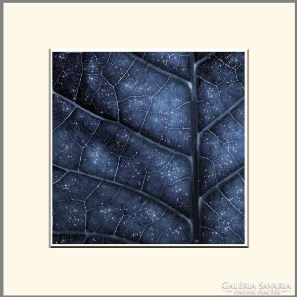 Moira risen: the wooden jewelry box - mithril. Contemporary, signed fine art print, starry sky at night