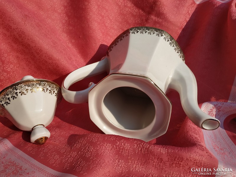 Gyönyörű porcelán tea,tej, kávé kiöntő