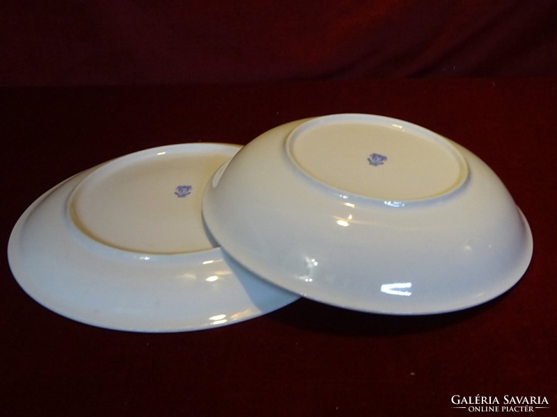 Great Plain porcelain deep and flat plate. Running with white flower pattern. He has!