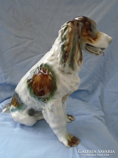 Szinte élethű méretű  angol Springer spániel kutya porcelán - jelzett