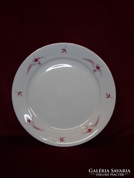 Winterling bavaria German porcelain flat plate, set of 6 with onion pattern. He has!