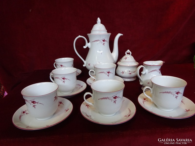 Winterling bavaria german porcelain coffee set with onion pattern. Showcase quality. He has!