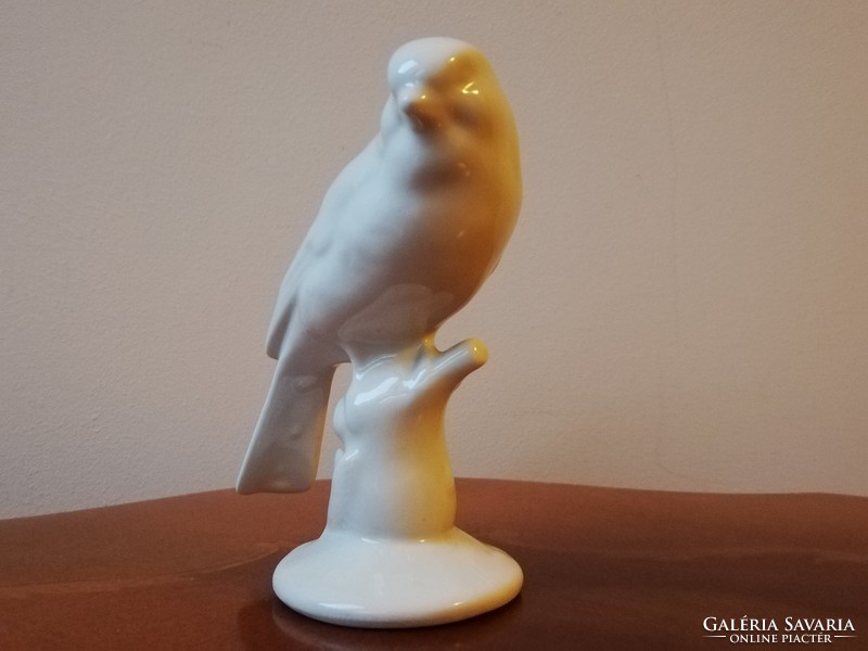 Hófehér porcelán papagály, antik porcelán madár jelzés nélkül 