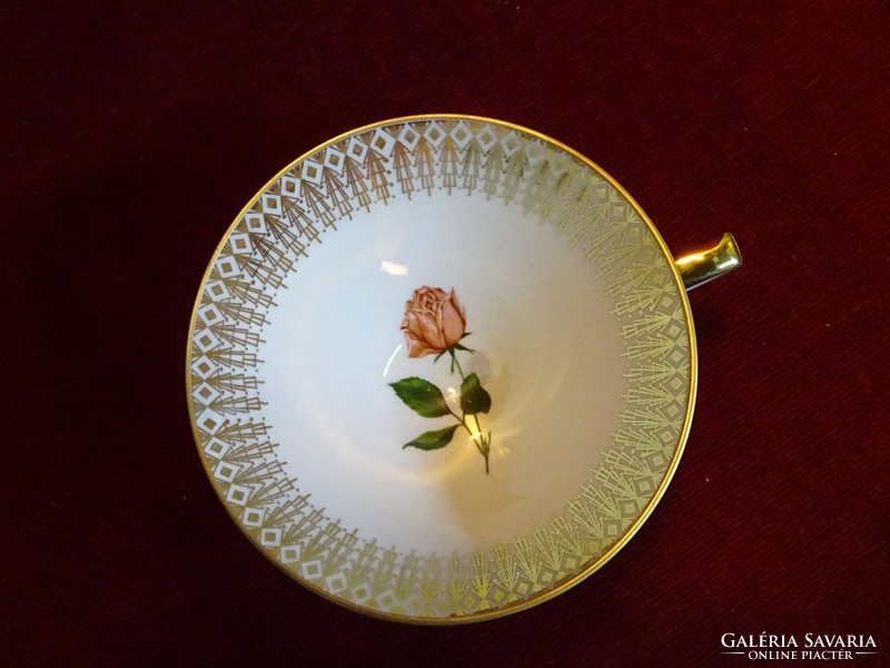 Winter porcelain German porcelain teacup. With pink rose. He has!