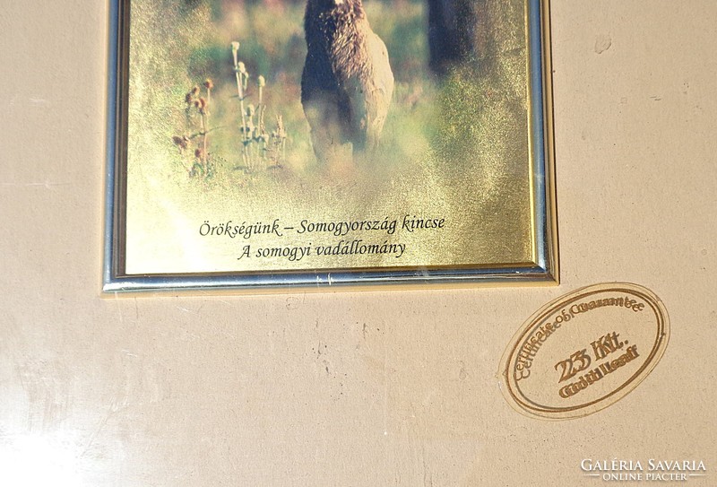Örökségünk - Somogyország kincse, aranyozott kép fa keretben