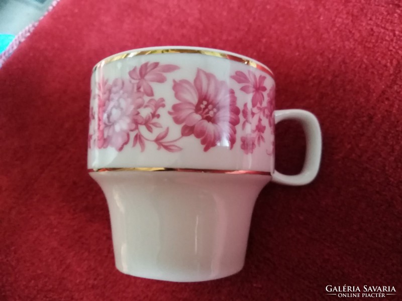 Hóllóháza porcelain cup and plate in perfect condition
