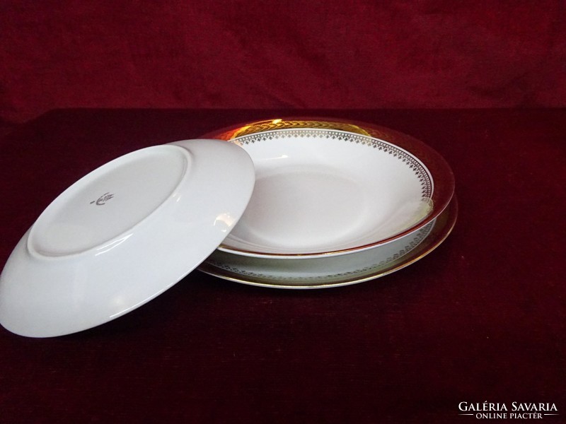 H & c Czechoslovakian porcelain antique flat plate with burgundy / gold border. He has!