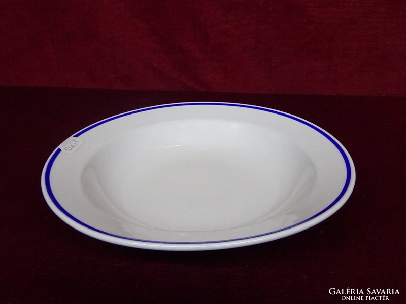 Lowland porcelain deep plate with a blue stripe on the edge. He has!