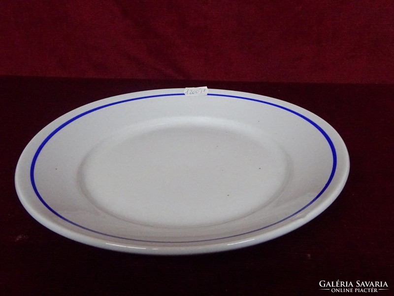 Zsolnay flat plate with shield seal and blue stripe on the edge. He has!