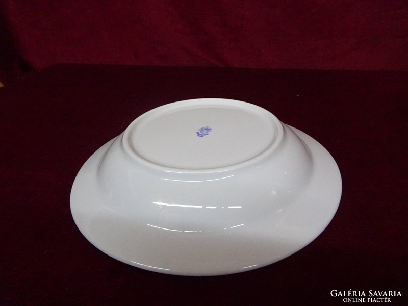 Lowland porcelain deep plate with a blue stripe on the edge. He has!
