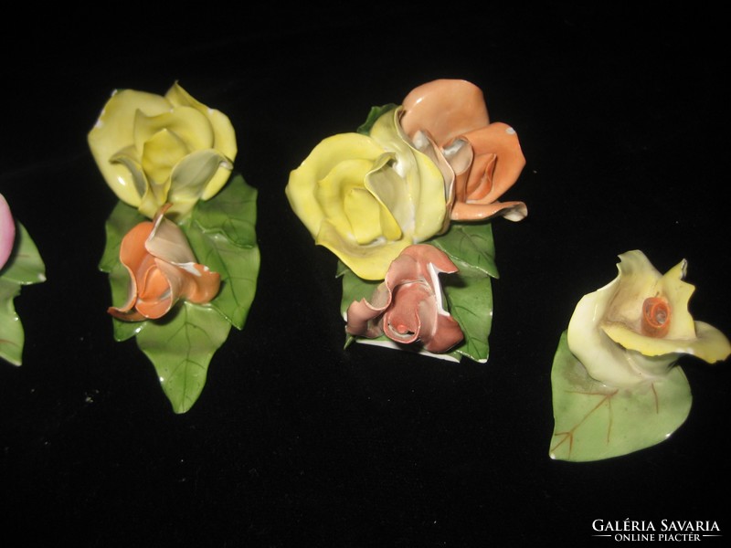 Aqincumi  rózsák  piciny sérülésekkel  kézi festés