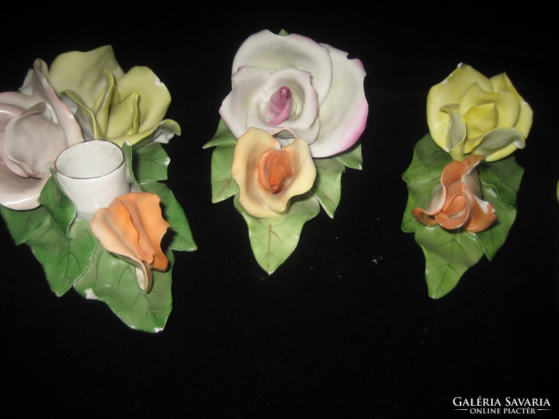 Aqincumi  rózsák  piciny sérülésekkel  kézi festés