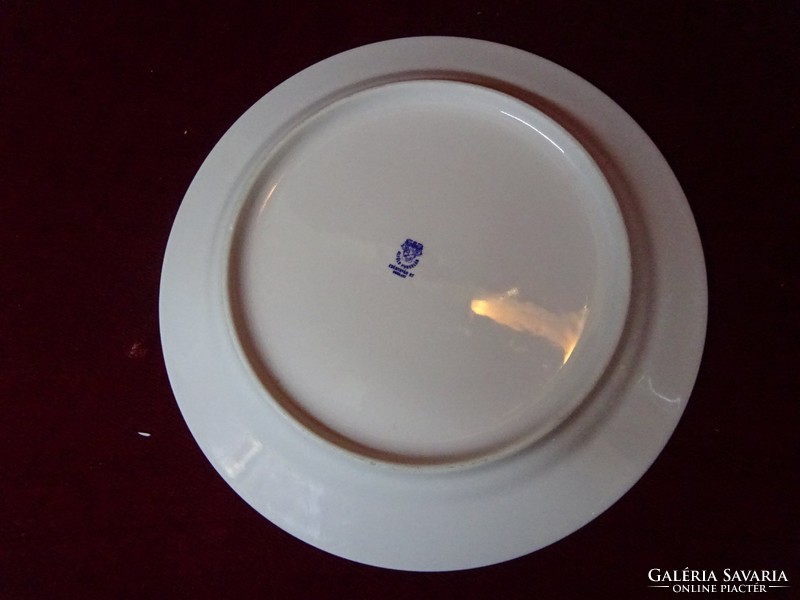 Alföldi porcelán lapos tányér, barna mintával, vitrin minőség. Vanneki!