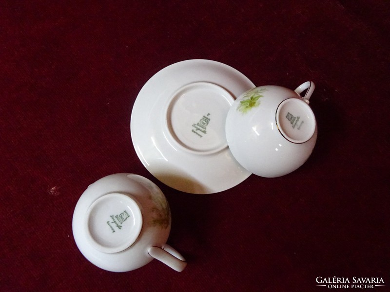 Pmr bavaria German porcelain coffee set, for 6 people, made in 1950. Vanneki!
