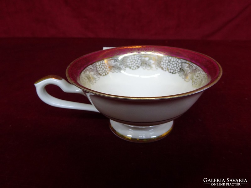 Seltmann weiden germany antique teacup. He has!