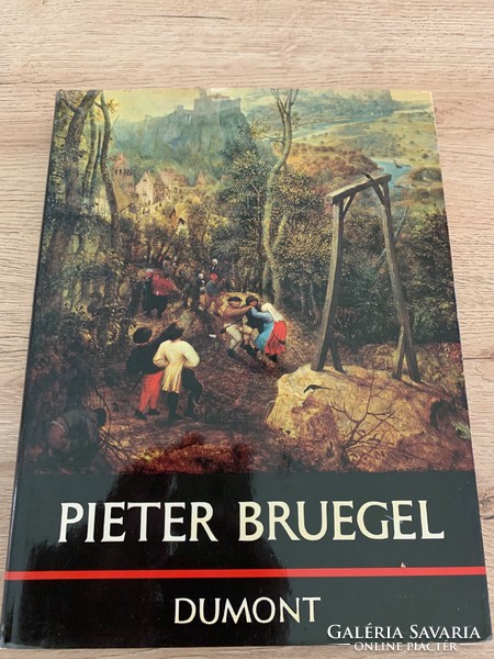 BRUEGEL - Wolfgang Stechow 1974