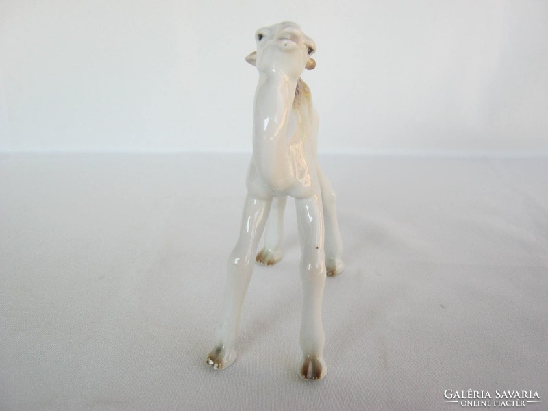Metzler & Ortloff porcelain camel