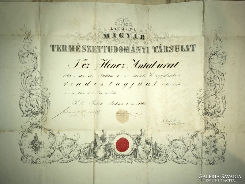A király Magyar természettudományi társulat oklevele 1868!! Hencz Antal urat Rendes tagjául választ