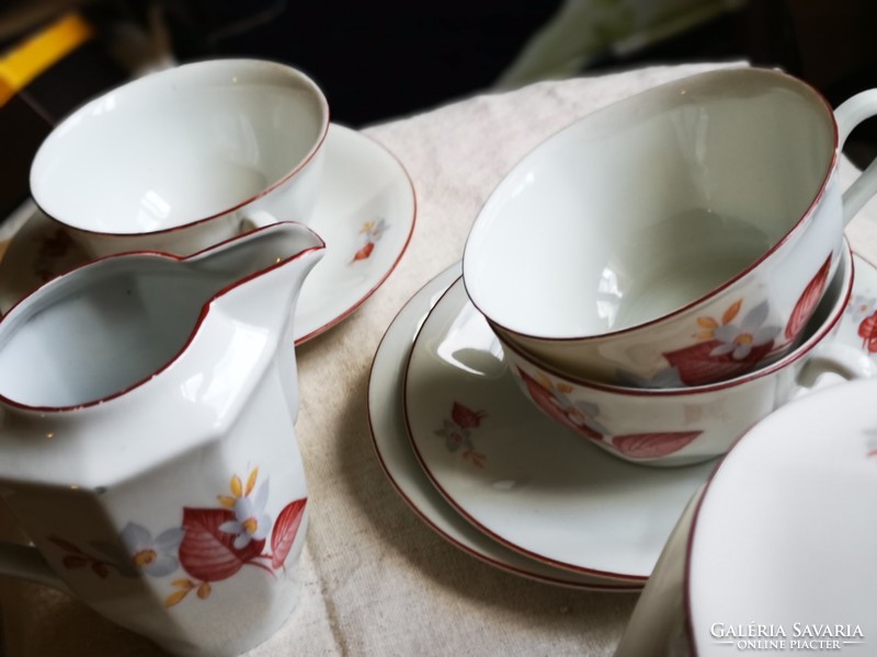 Old drasche porcelain tea set with flower pattern