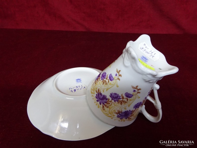 German Thuringian porcelain teacup + saucer. Purple floral. Schierholz plaue German GDR. He has!