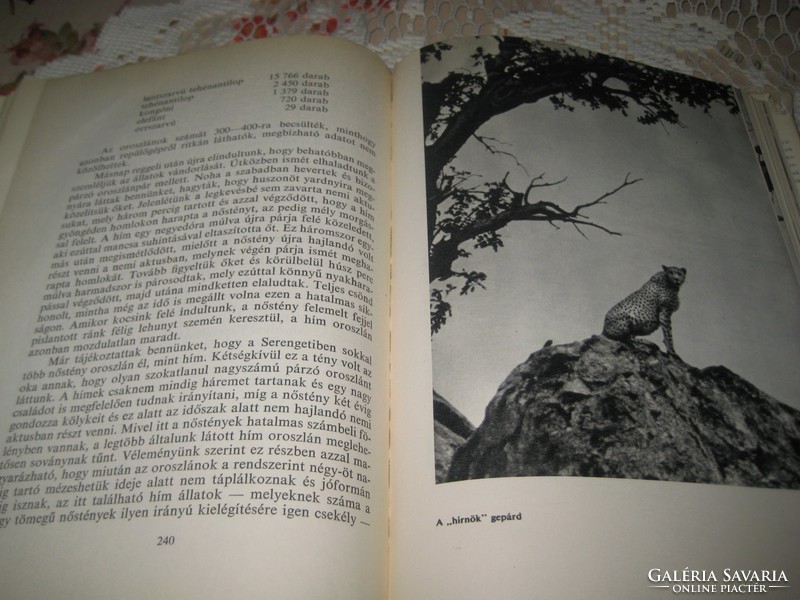 Joy Adamson . híres regénye  : ELZA és KÖLYKEI   1966
