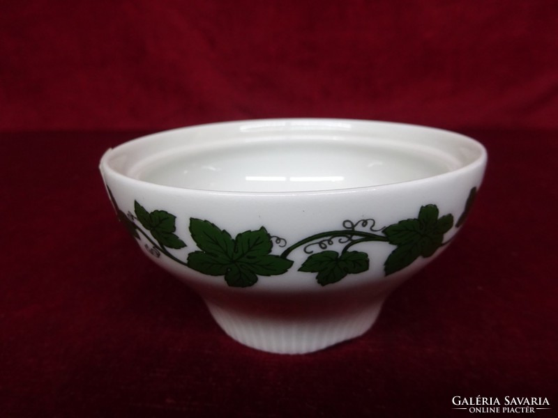 Jl menau German porcelain sugar bowl. Beautiful green pattern in a display case. He has!