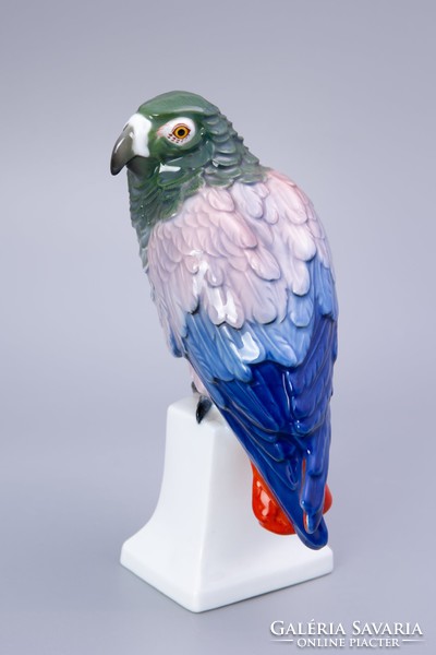 Rosenthal papagáj