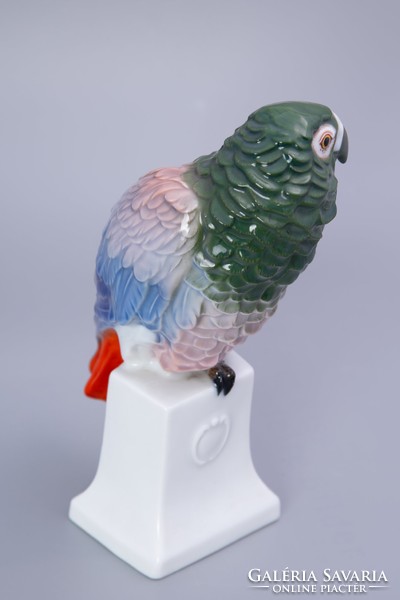Rosenthal papagáj