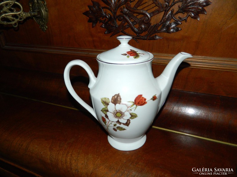 Wawel Polish large flower pattern tea spout