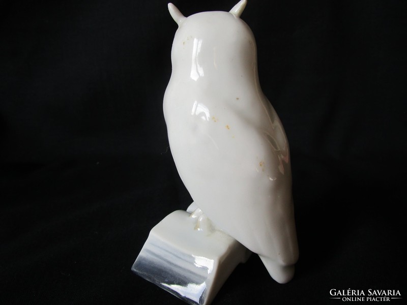 Marked scientist owl owl owl sculpture hand-painted figurative porcelain